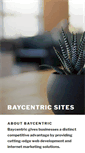 Mobile Screenshot of baycentric.net